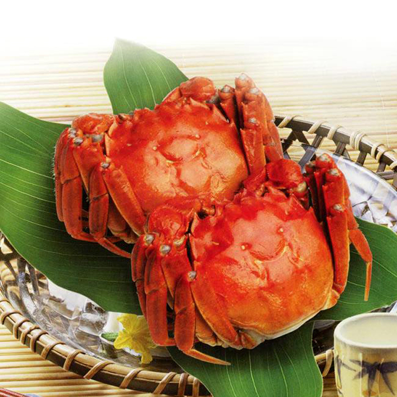餐中王大闸蟹鲜活大闸蟹公蟹35两母蟹25两8只
