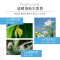 RYO头皮盈韧洗发水100ml控油蓬松高颅顶持久留香