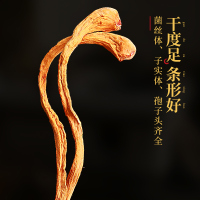 半山农 虫草花 孢子头 蛹虫草 金虫草 300克/袋 菌菇干货炖汤煲汤