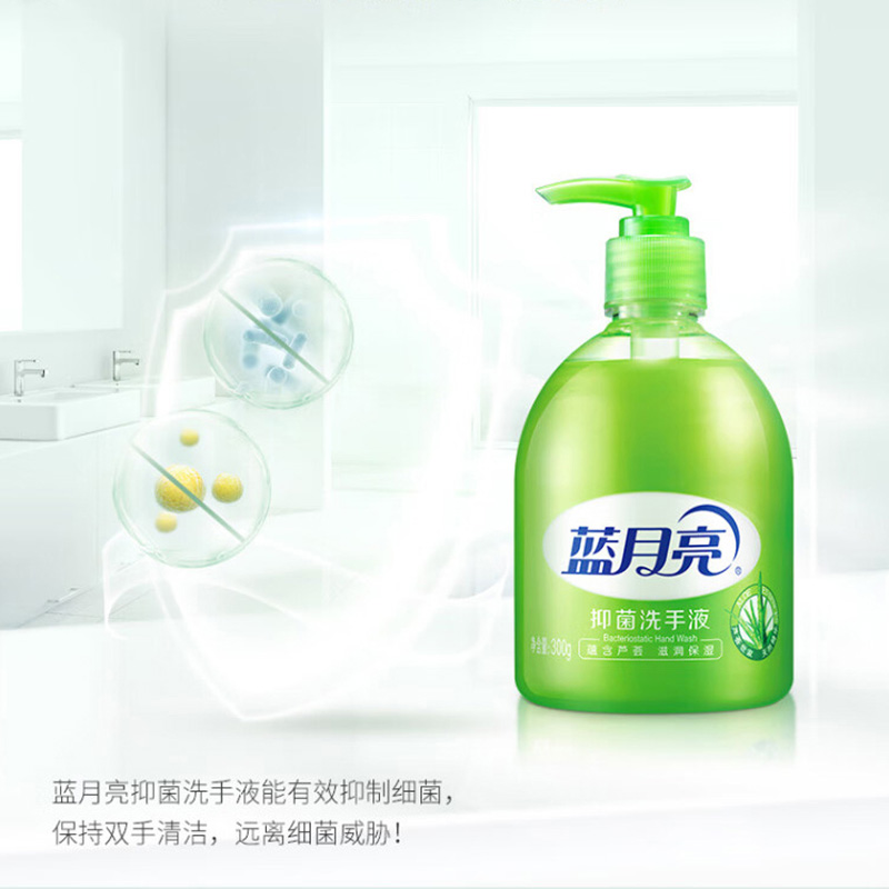 蓝月亮洗手液300g*24瓶泡沫丰富滋润保湿芦荟80001904高清大图