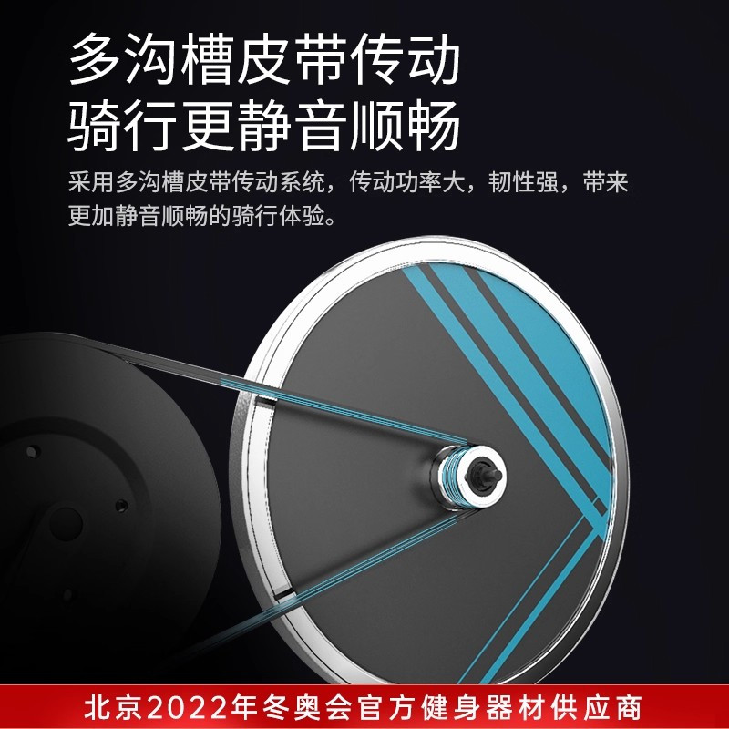 舒华(SHUA)动感单车家用骑行燃脂轻奢运动健身器材室内自行车B599高清大图