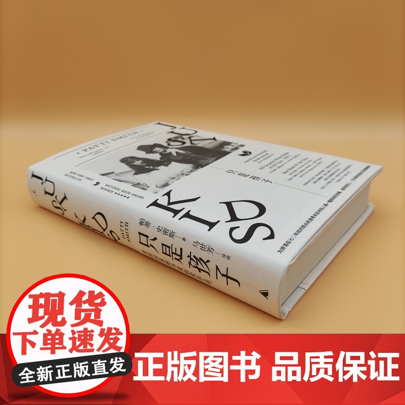 只是孩子 (美国国家图书奖获奖作品,传奇艺术家帕蒂•史密斯回忆录代表作,全新精装改版)高清大图