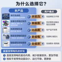 海尔(Haier)8公斤 直驱变频 家用全自动 波轮洗衣机 小型洗衣机 水压电压双宽 漂甩二合一 EB80BM029