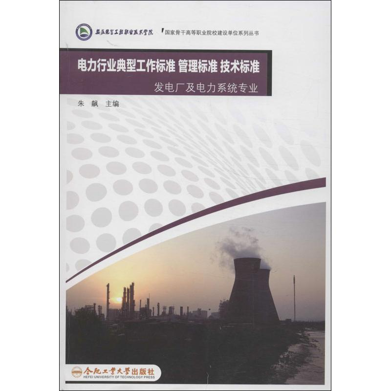 醉染图书电力行业典型工作标准管理标准技术标准9787565014130高清大图