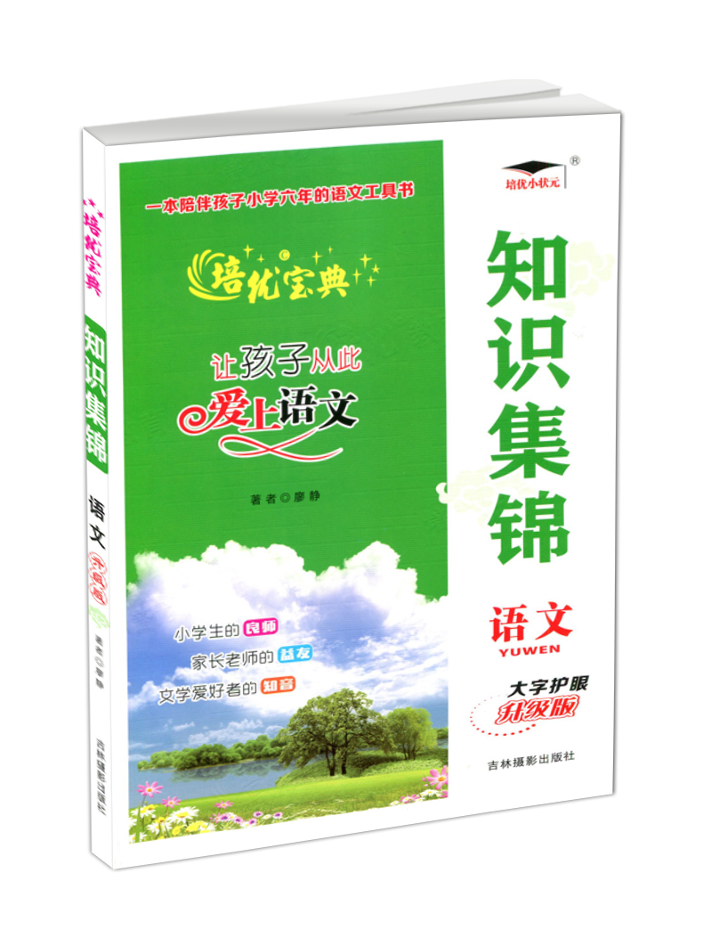 语文 小学升初中 [正版]2024版 培优宝典 知识集锦 语文 小学1-6年级语文知识大全基础知识小升初语文总复习辅导工高清大图