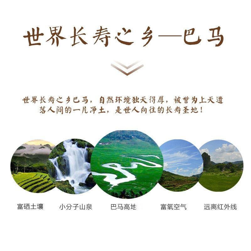 十琅 巴马紫米糙米紫糯米黑米五谷杂粮粗粮广西巴马特产500g*3袋