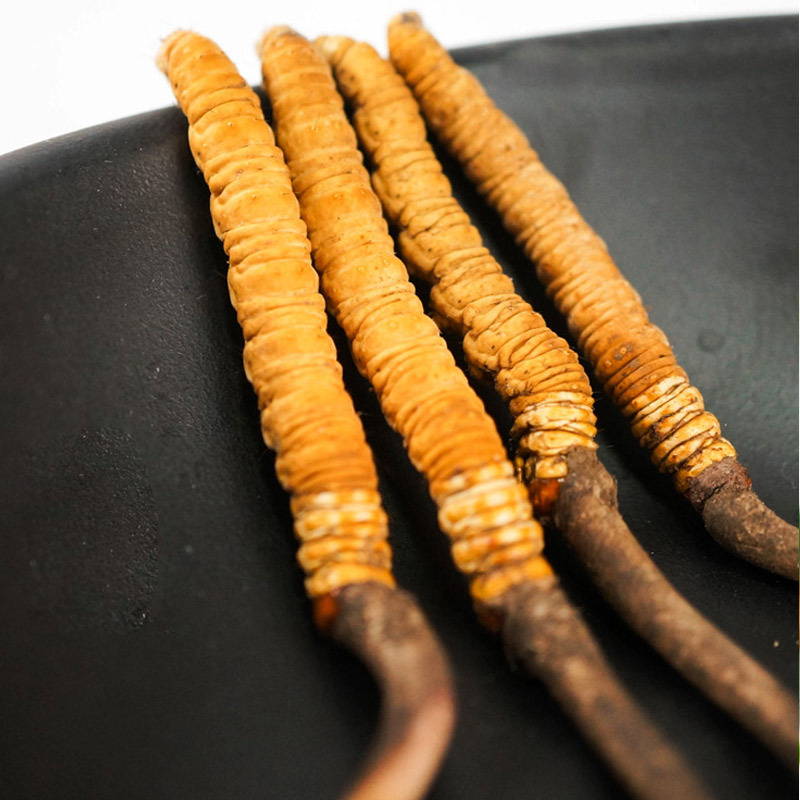 益升源玉树新鲜冬虫夏草2019年现挖虫草07克条10条装