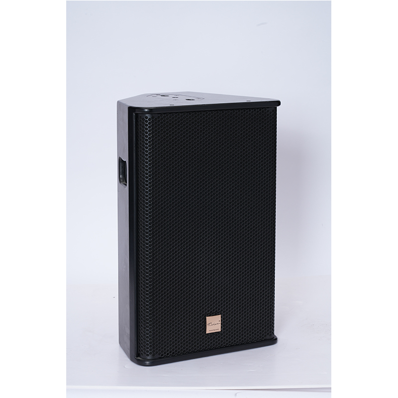 TELOS PS12专业音箱 剧院会议厅酒吧KTV多功能厅商用专业音响