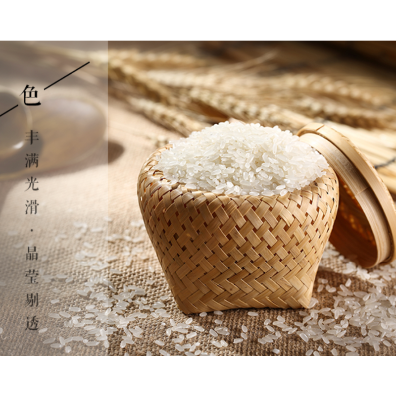 CCSM4 原阳黄金晴大米 25kg/袋 4袋一箱