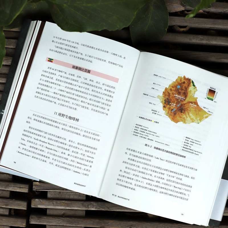 [正版]第四波精品咖啡学 韩怀宗著 华人咖啡教父 世界咖啡学作者韩怀宗 潜心五年打磨 咖啡爱好者与时俱进充电宝典 出版高清大图