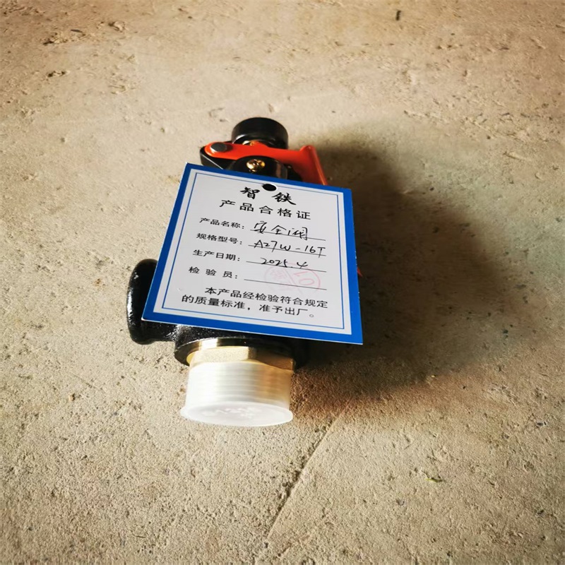 智铁 安全阀 A27W-16T 个高清大图