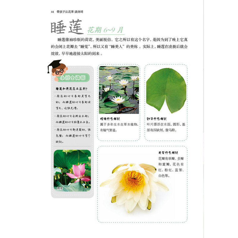 [正版]带孩子认花草 读诗词 早教亲子唐诗宋词 古诗词大全集国学经典书籍宋词三百首古诗词中国诗词大会古诗词鉴赏高清大图