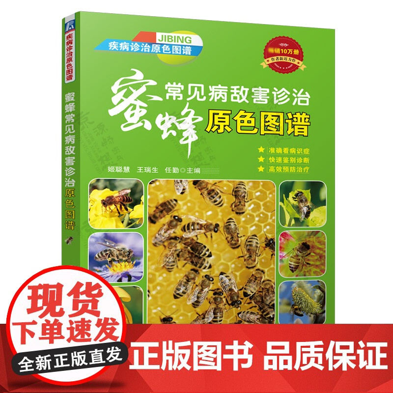养蜂技术全图解+中意蜂养殖一本通+蜜蜂常见病敌害诊治原色图谱 养蜂书籍养蜂技术中蜂意蜂高效养殖养蜂书籍大全 蜜蜂养殖技术
