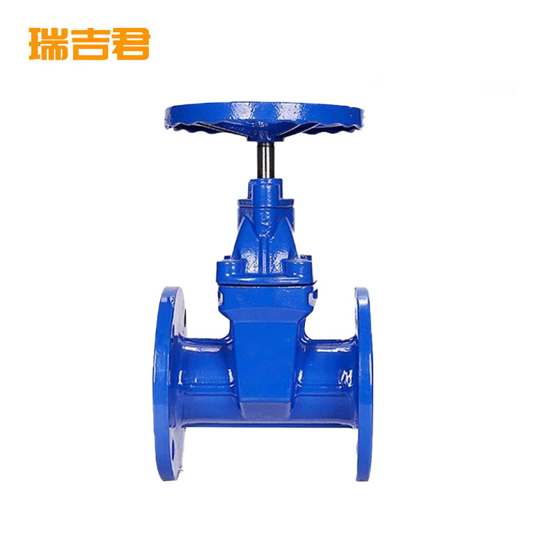 瑞吉君 软密封闸阀 DN80 个