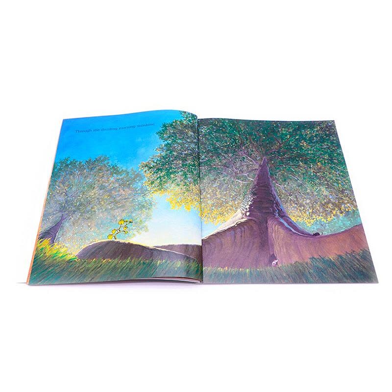 [正版]树 一个关于生命周期的故事 英文原版 Tree A Little Story About Big Things图片
