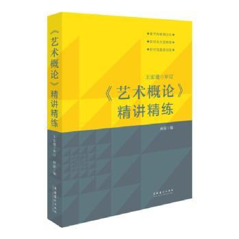音像《艺术概论》精讲精练王宏建审订 林路主编