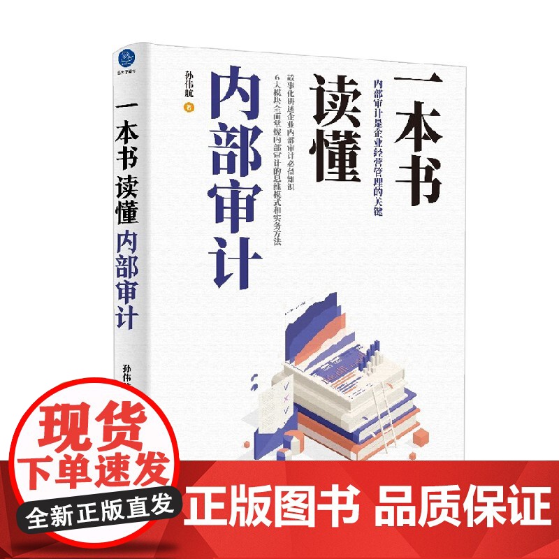 一本书读懂内部审计 孙伟航 著 企业战略发展 运营管理 内控体系 经济高清大图
