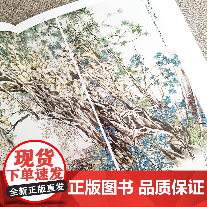 汤琳南 当代水墨画唯美新视界 水墨花鸟画册工笔画白描底稿画谱 国画写意画孔雀工笔画白描技法临摹范本 初学者绘画美术入门高清大图