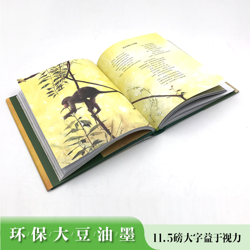 [正版]接力出版社名著名译名绘版 丛林故事 精装 7-10-15岁外国儿童文学儿童读物 方华文全译本 彭懿、王林力荐高清大图