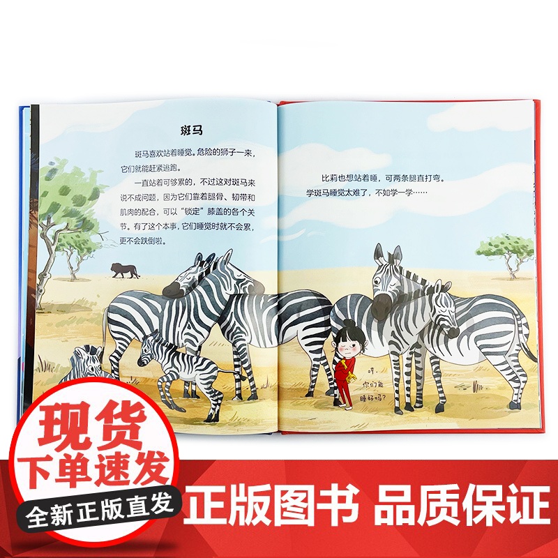 神秘岛· 像鲨鱼一样睡觉 [瑞典]丽莎·拉格瓦尔斯/著 动物 睡觉 科普百科 适合3-6岁儿童 广西师范大学出版社高清大图