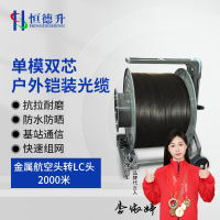 恒德升 铠装光缆HDS-A497S-HKLC-2KM 户外通信基站应急抢修放缆车缆线单模双芯 航空头转LC头 2000米