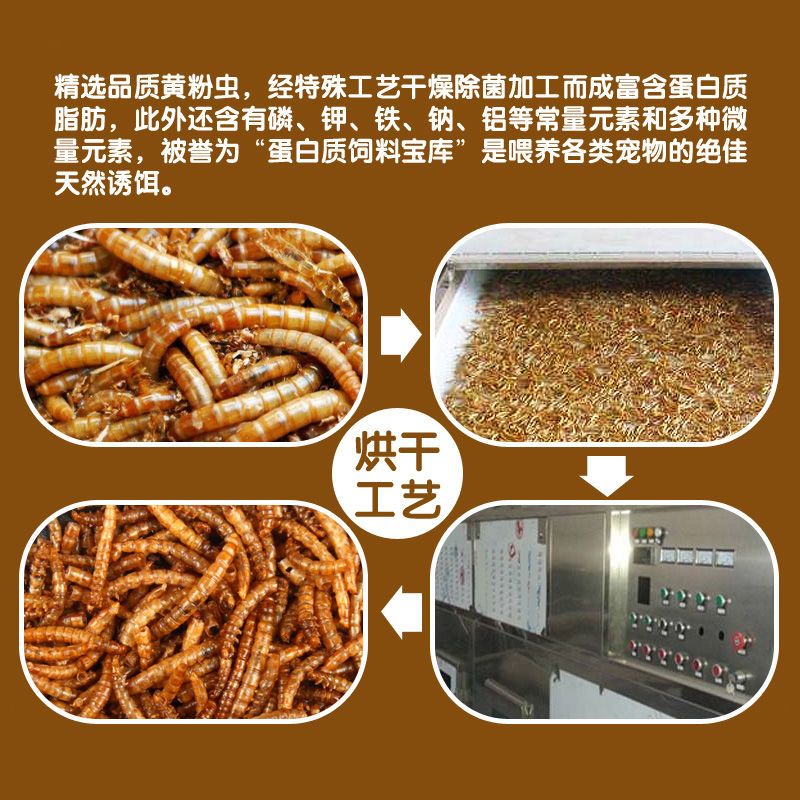 八哥专用营养虫干(400ml)罐装 面包虫干八哥鸟食面包虫八哥饲料鹩哥饲料鸟粮画眉鸟食饲料