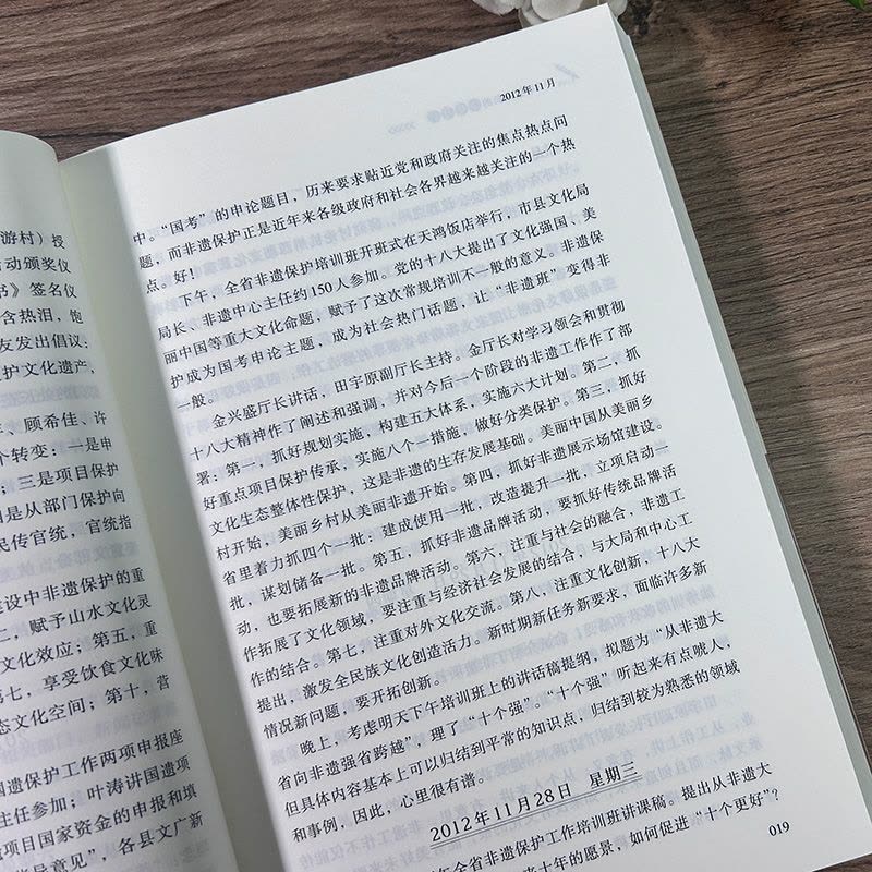 [正版]一个非遗处长的工作日记 王淼著 浙江非遗工作保护历程日记 非遗工作宝典 非物质文化遗产保护工作指导日记 浙江教图片