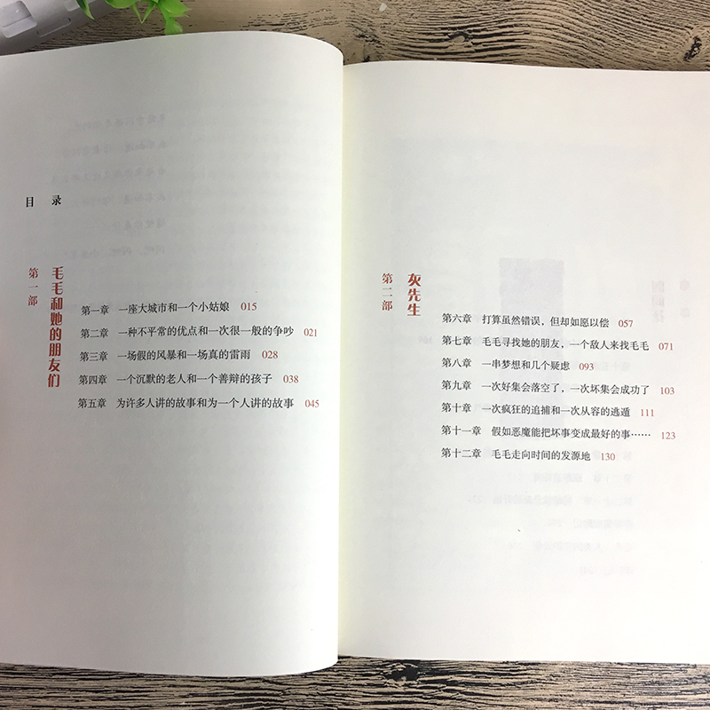 毛毛书 正版 米切尔恩德的书 时间窃贼和一个小女孩的不可思议的故事 五六年级小学生版课外阅读必读书籍21二十一世纪出版社