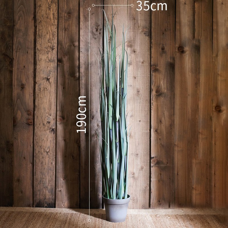 美帮汇洋葱盆景大型仿真植物绿植仿真树装饰摆件陈列布景道具 C竹节草灰盆大号高清大图
