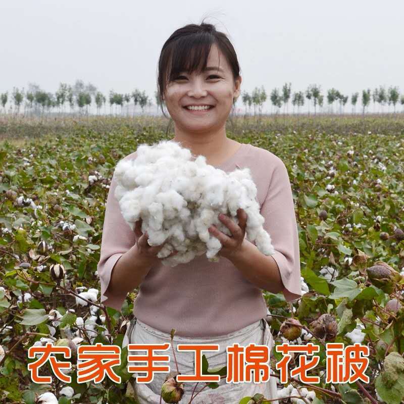 棉花被子手工棉被芯冬被加厚全棉春秋棉胎学生棉絮单人床垫被褥