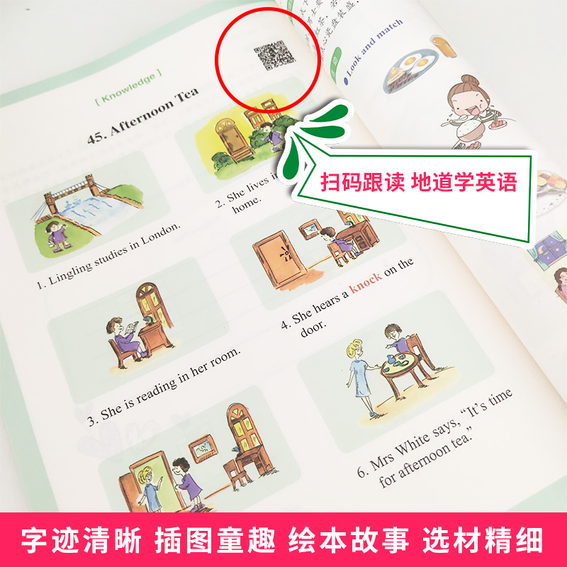 英语文化读本入门级1 [正版]新版 英语文化读本入门级1 中小学学科文化丛书 培养阅读习惯增强阅读理解能力提升英语技能小高清大图