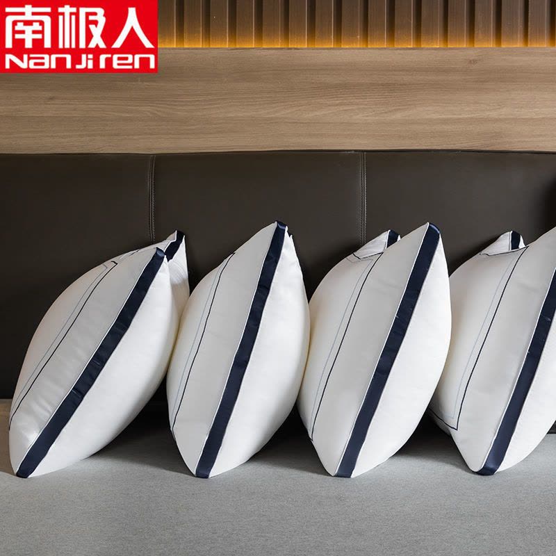 枕头枕芯一对装枕头芯酒店枕成人颈椎枕靠枕宿舍枕头春夏秋冬季图片