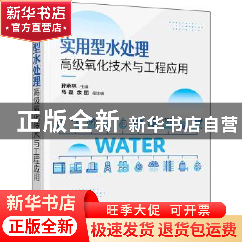 正版 实用型水处理高级氧化技术与工程应用 孙承林 化学工业出版