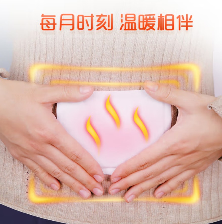 海氏海诺 暖宝贴 (10贴) 40包每箱 1箱高清大图