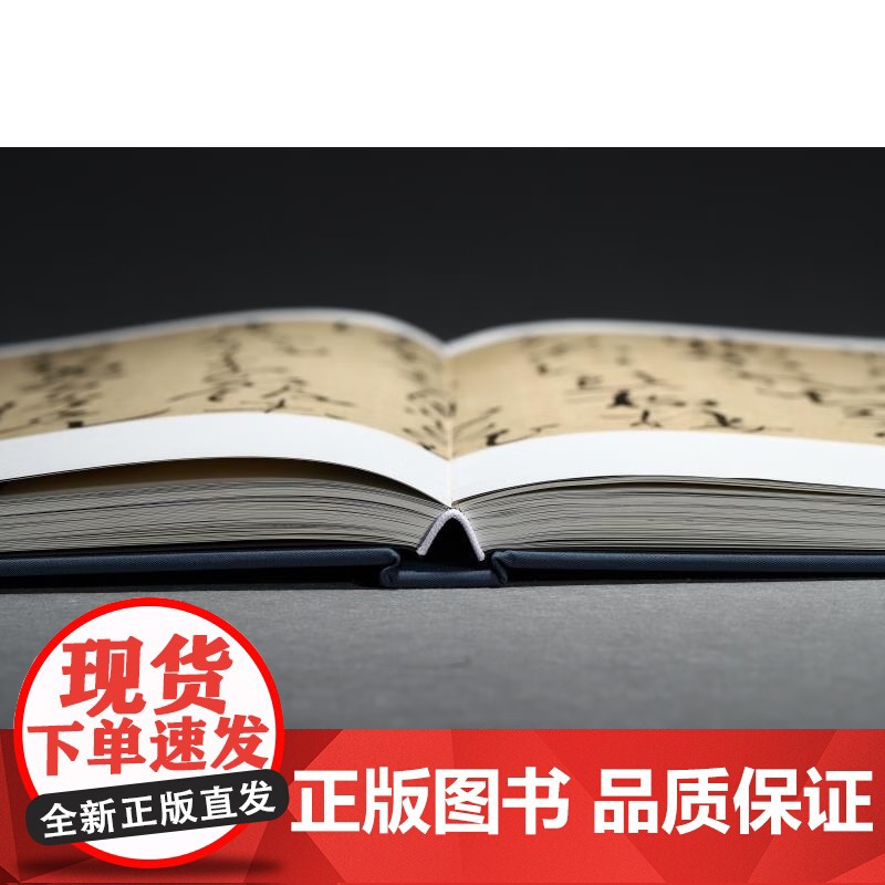 风华正茂:全国中青年书法名家十一人作品集(第二辑) 王健秋 主编 上海书画出版社 正版图书 书法篆刻作品 193组高清大图
