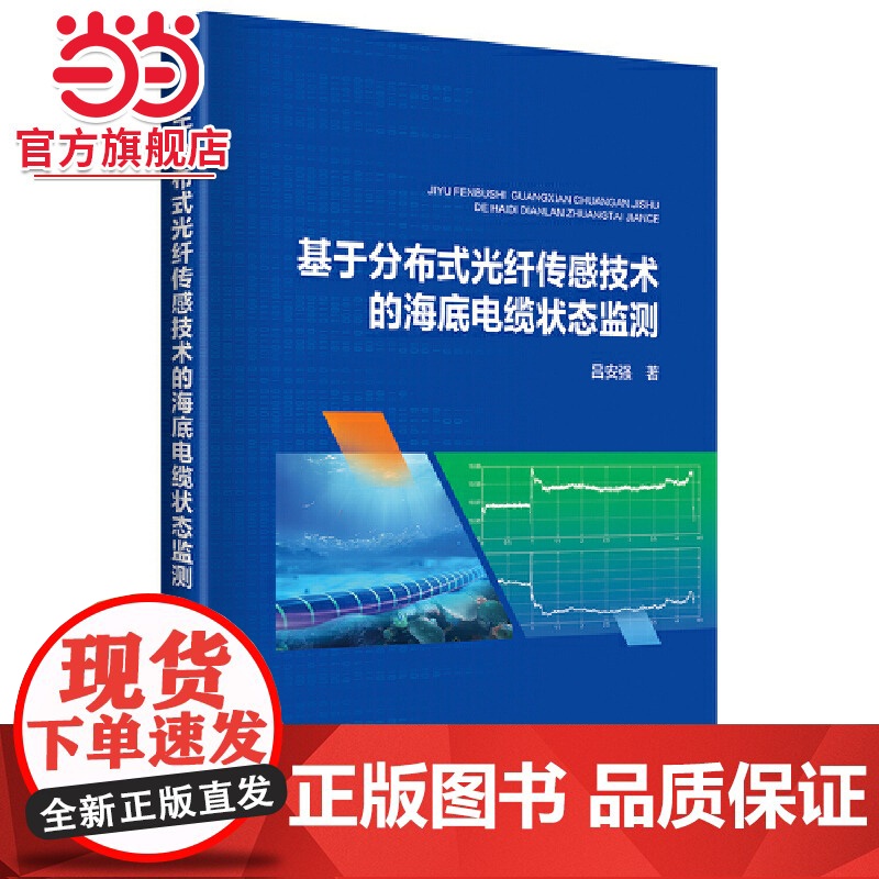 基于分布式光纤传感技术的海底电缆状态监测高清大图