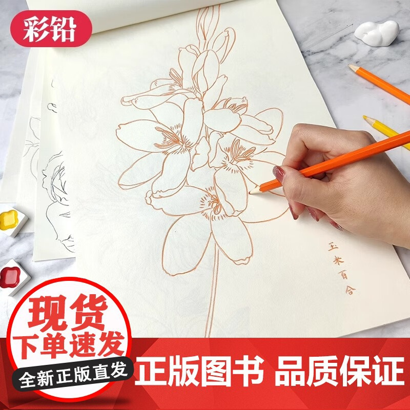 百花绘白描描摹本 工笔画花卉白描线稿临摹 百花图谱 勾线控笔描摹 中国画初学者入门教程 工笔画白描练习册
