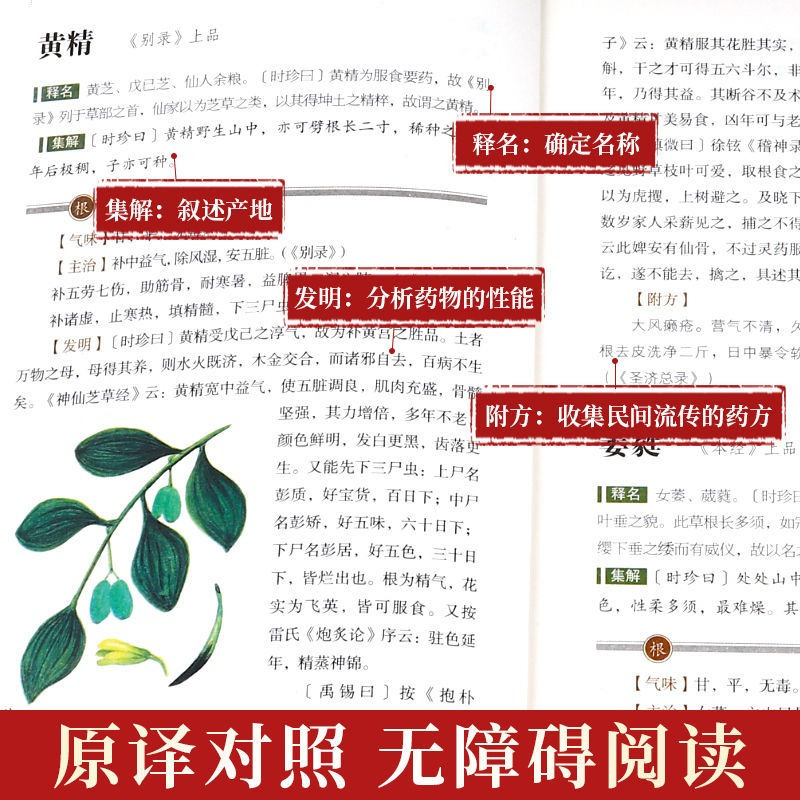 [正版]本草纲目李时珍原著原版全套4册烫金全套4册彩图中国药学巨著古典百科全书养生书籍中医中草药大全书中医书籍团结出版