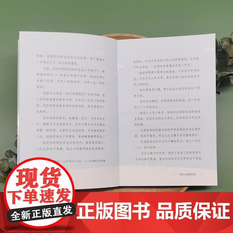 正版 中华先锋人物故事汇系列 李登海 玉米高产的魔法师7-14岁中小学生课外阅读儿童文学小说英雄故事传记青少年励志成高清大图