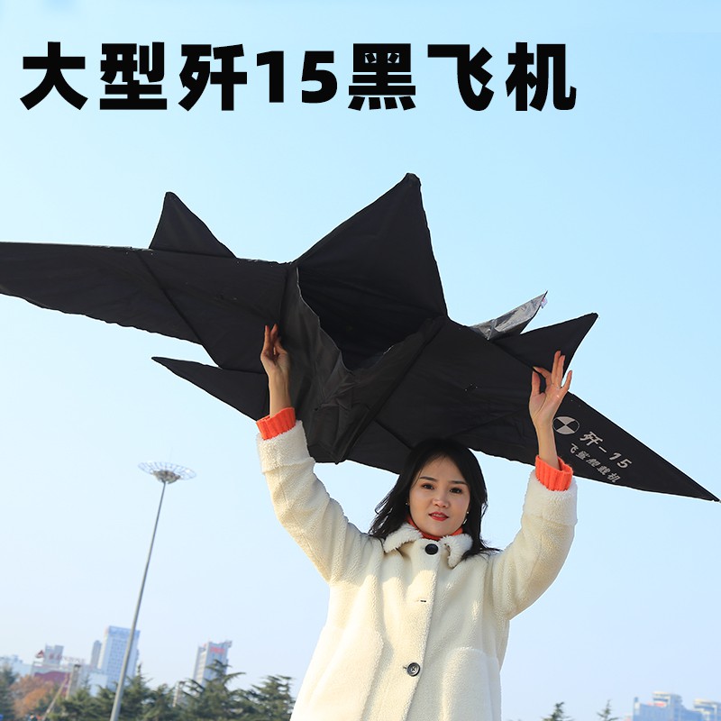 飞机风筝大型有风微风易飞大型大特大成人儿童2019年新款2020创意 三维工匠 彩虹飞机送16折叠锁轮200米线高清大图
