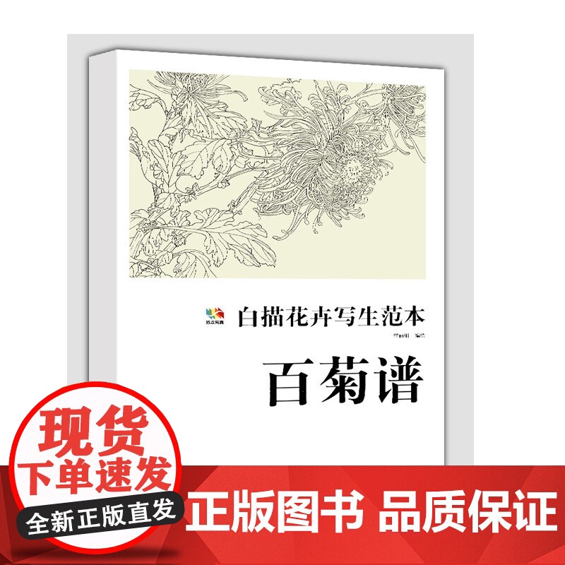 范本传真 白描花卉写生范本 百菊谱高清大图