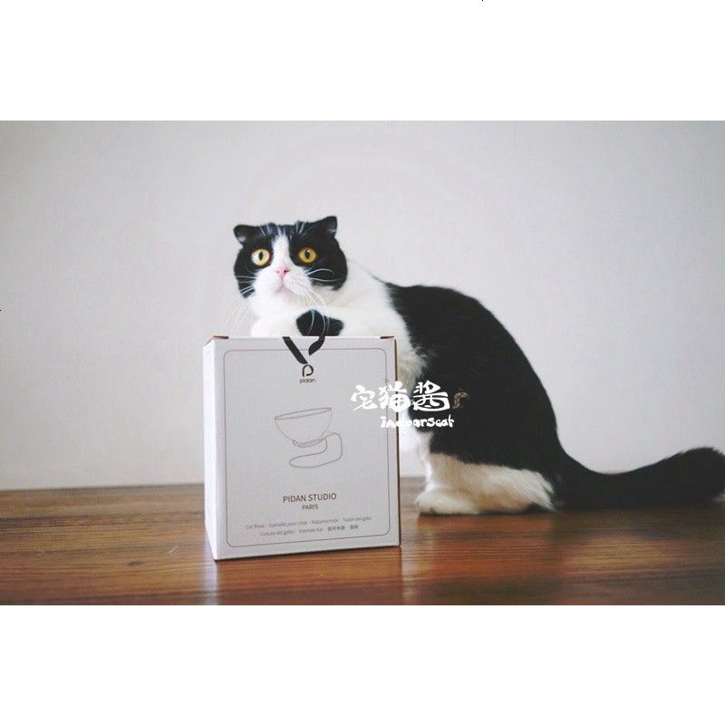 宅猫酱pidan 现代气息的猫食盆猫碗 优质材料 猫体工程学