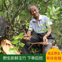 新鲜玉竹野生500g农家玉竹茶现挖天然玉竹根广东煲鸡汤料炖汤材料