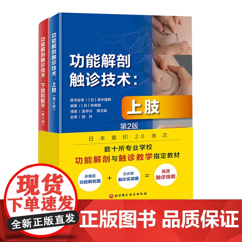 功能解剖触诊技术 第2版 全2册 上肢+下肢和躯干 运动康复 医学 解剖 北京科学技术高清大图