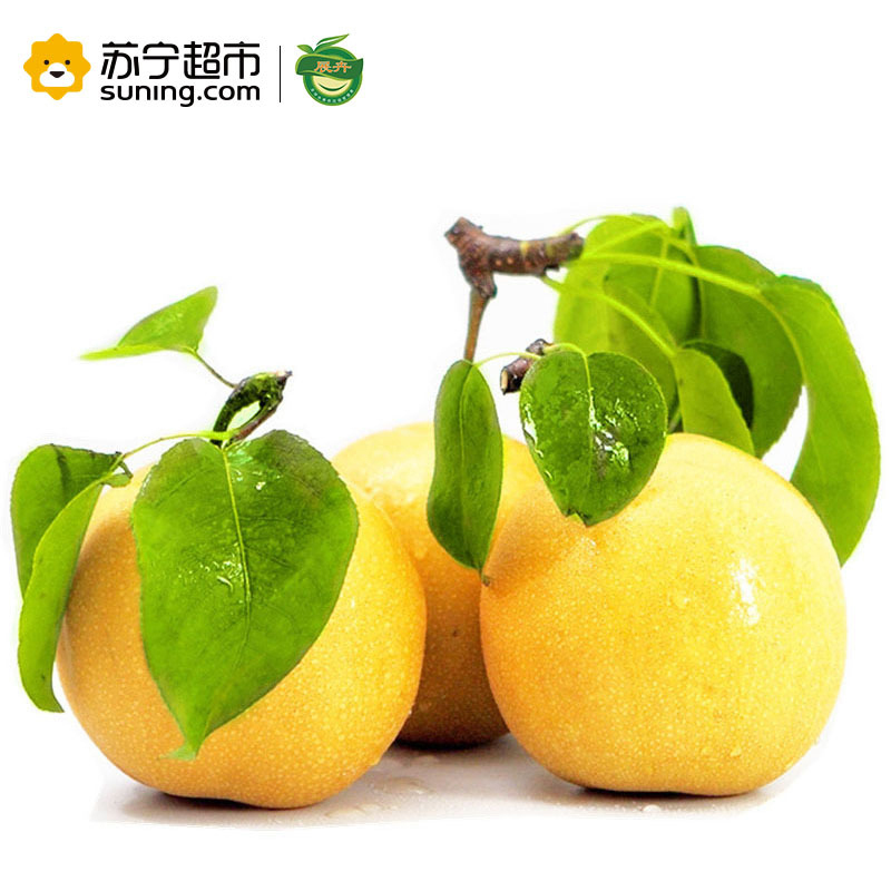 展卉国产 山东丰水梨 简装2kg 冷藏国产梨类 新鲜水果