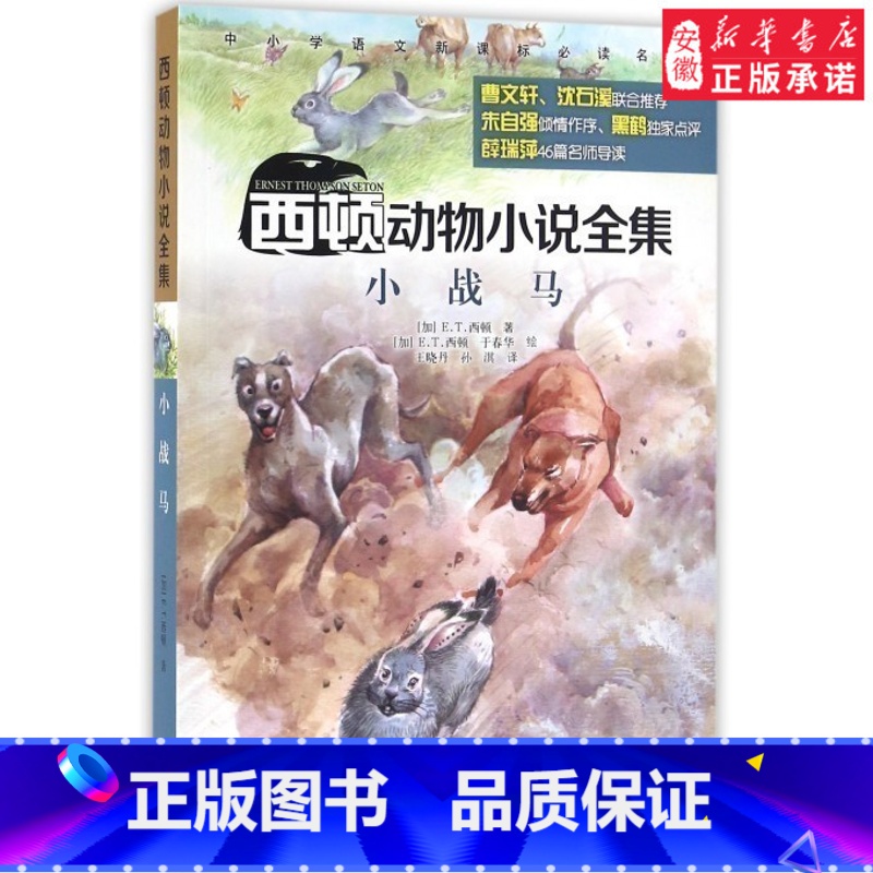 [正版]书店西顿动物小说全集·小战马 E.T.西顿著 儿童动物故事书 经典儿童绘本