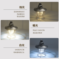TCL户外照明露营灯超长续航帐篷野营地led充电氛围灯挂式复古马灯