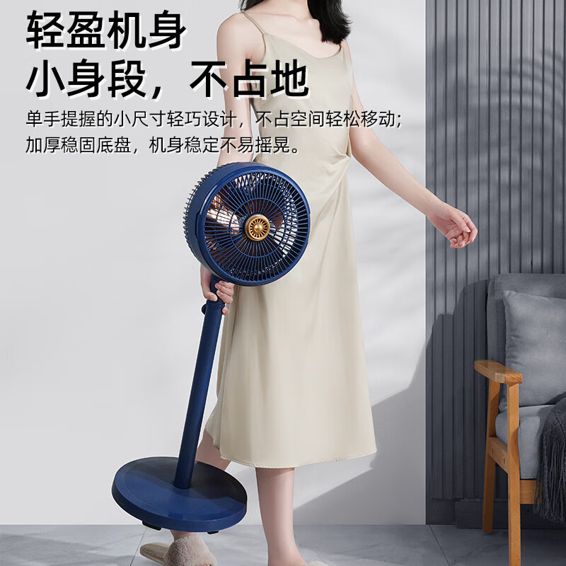 长虹(CHANGHONG)电风扇CFS-20A1机械循环扇高清大图