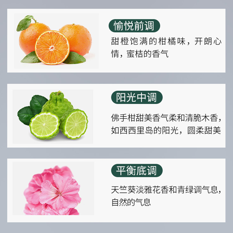 质心天竺葵经典护发素
