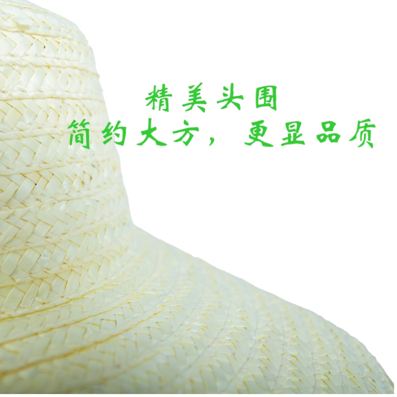 飞翔大雁 草帽 圆顶(大、中、小)顶高清大图